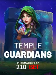 A Experiência Imersiva dos Cassinos Ao Vivo no 210 Bet